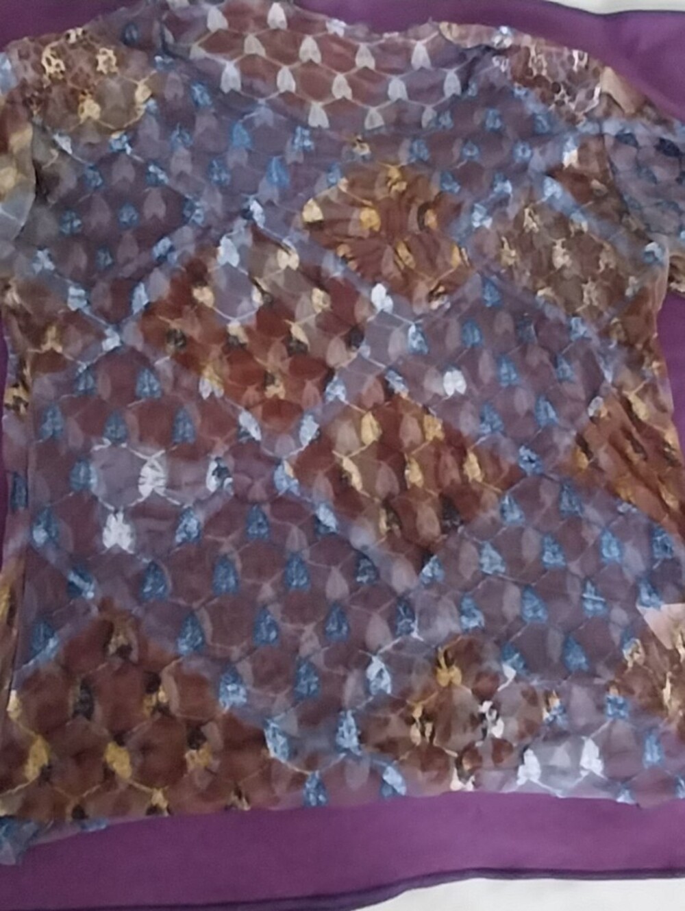 Sheer Long-Sleeve Mesh Top in Blue and Brown - Picture 2 of 9